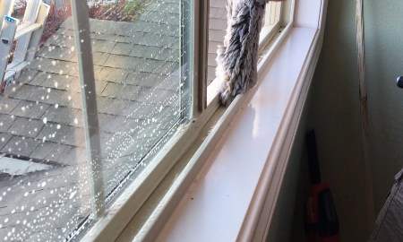 way-to-clean-window-tracks-and-remove-mold
