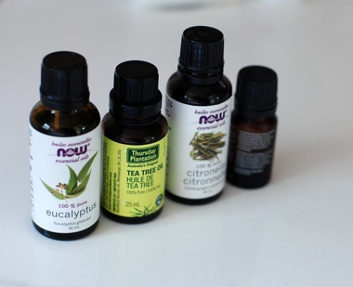 how-to-get-rid-of-tea-tree-oil-smell
