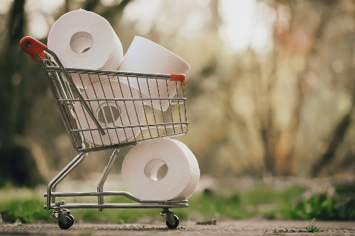 worst-toilet-paper-for-septic-systems