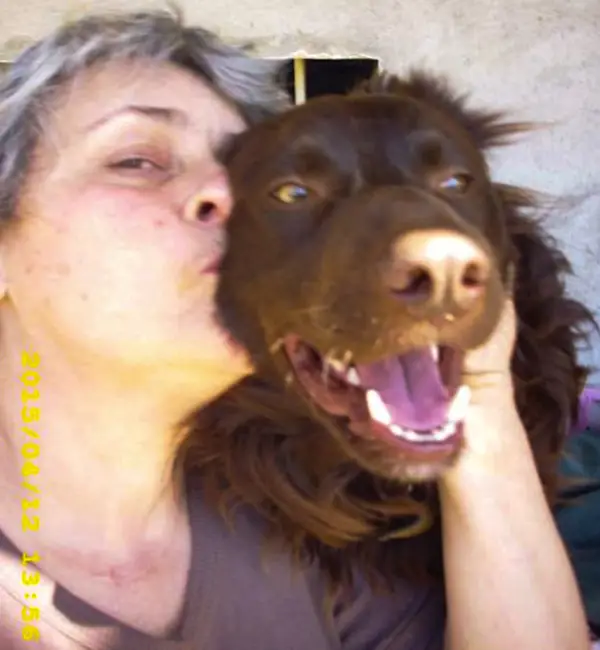 Bound for Hope: The Resilient Journey of a Dog Cruelly Tied in a ...