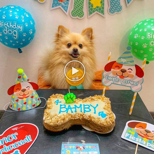 A Heartfelt Birthday Wish for a Beloved Canine Companion - Floor ...