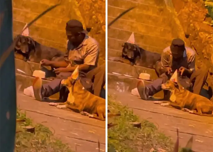 The Impact of One Homeless Man’s Love for His Dog: A Birthday ...